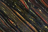 Polished Tiger Iron Stromatolite - ( Billion Years) #75842-1